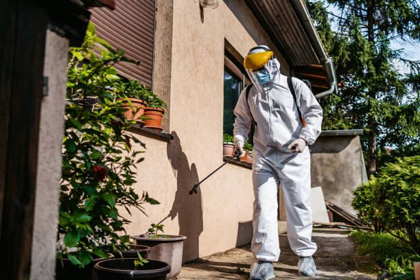 Best Local Pest Control Services  in Thousand Palms, CA